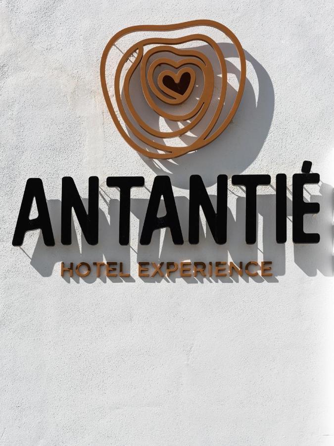 Hotel Antantie コニル・デ・ラ・フロンテラ エクステリア 写真